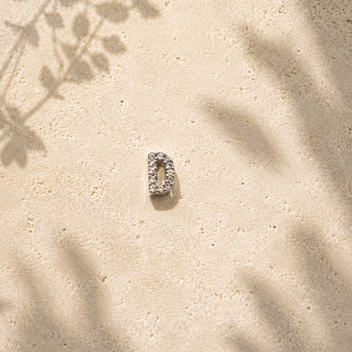 Silver letter 'd' on sand with plant shadows